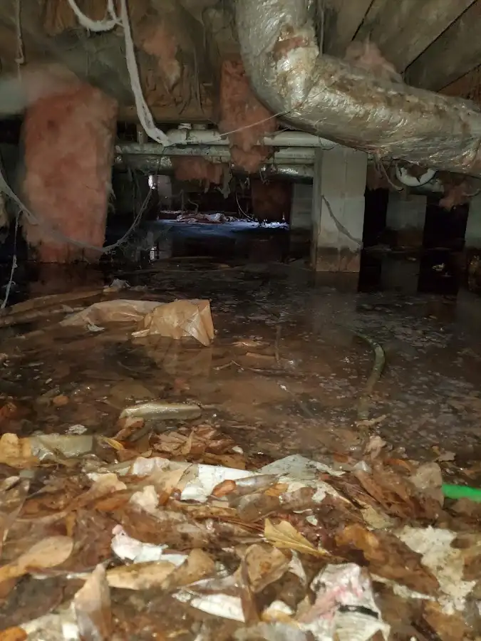 Crawl space flood assessment for Leak Detection & Repair in Litchfield Park